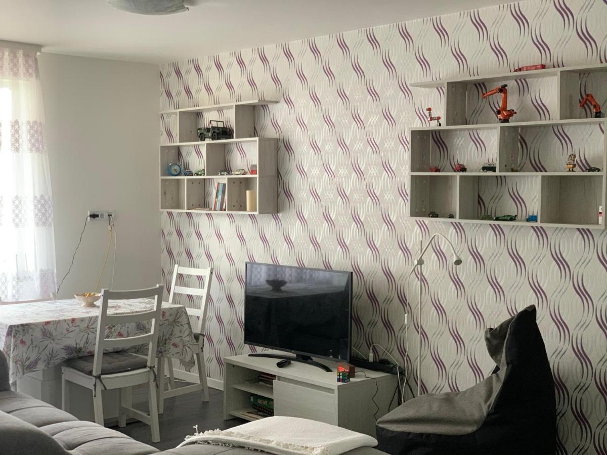 Stefanos Apartament Baia Mare Dış mekan fotoğraf