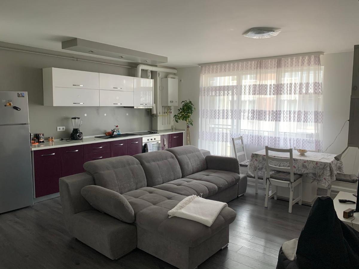 Stefanos Apartament Baia Mare Dış mekan fotoğraf