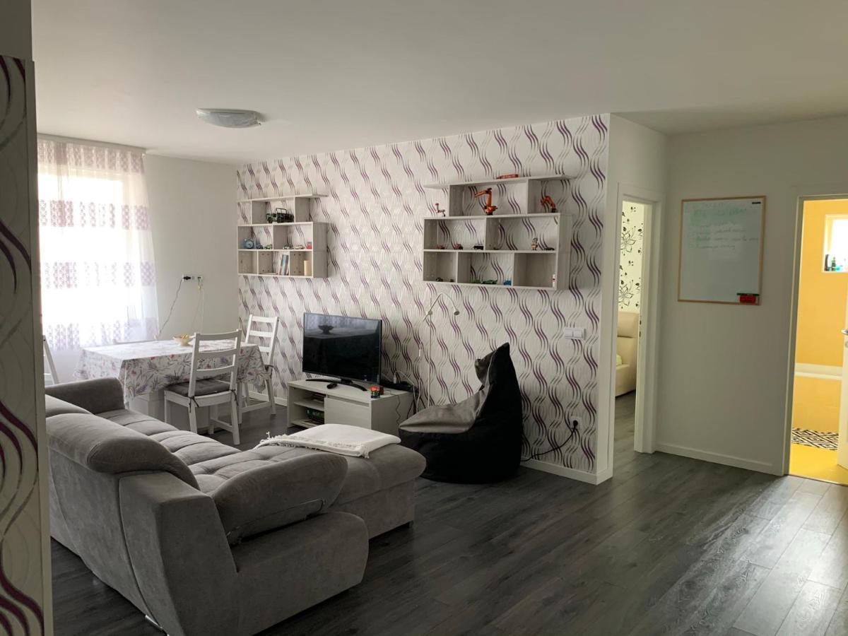 Stefanos Apartament Baia Mare Dış mekan fotoğraf